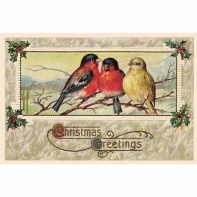 Vintage Christmas card Robin